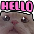 DNS_catHello DNS_catHello