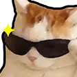 DNS_catCool