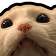 DNS_catSuffer