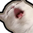 DNS_catScream3 DNS_catScream3
