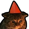DNS_catSad