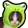 DNS_catFrog