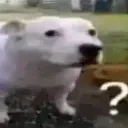questionmark