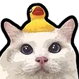 DNS_catDuck