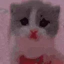 scared scared