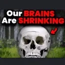 brains