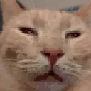 auh