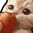 DNS_catStrawberry3