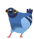PigeonDANCE PigeonDANCE