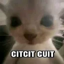 CitCit_Cuit