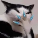 hehe