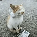 not_listening