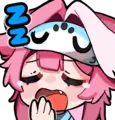 RaoSleep