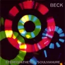 Stereopathetic_Soulmanure