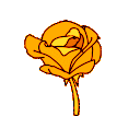 93222flowergolden