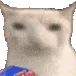 cateat