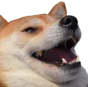 DoggoKek