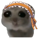 A sad-looking gray cat wearing an orange and white frilly maid headband.