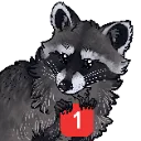 raccoonping