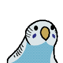 Blue_Party_Budgie Discord emoji