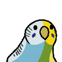 Chimera_Party_Budgie Discord emoji