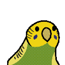 Green_Party_Budgie Discord emoji