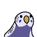Violet_Party_Budgie Discord emoji