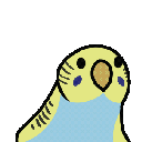 Yellowface_Blue_Party_Budgie Discord emoji