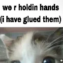 HandholdKitty