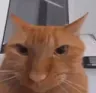 tryingtomakeyouexplodewithmymind