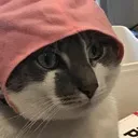 headempty