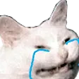 cry