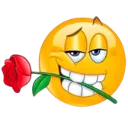 flirtrose