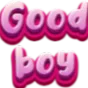 goodboy