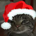 christmasmuffin