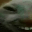 xdd1