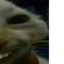 xdd2