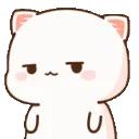 silly_kitty