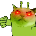 gatopunch
