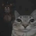 fnaf_cat