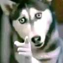 iseeyou