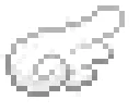 whitewing