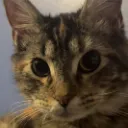 image_20251126_005043598