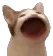 yapping yapping