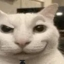 smirkcat