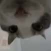 reversed_wires