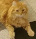 garystare