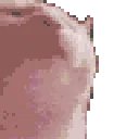1157988941681655859