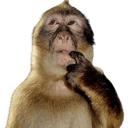 monkeythink custom emote from ˚₊‧꒰ა The Nightosphere ໒꒱ ‧₊