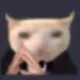 Cat_off